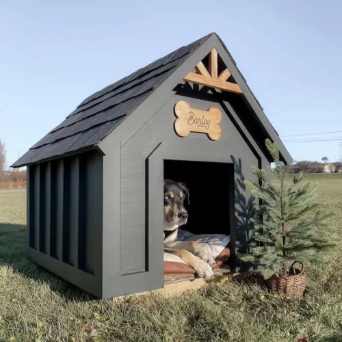 Dog house built with DIY plans